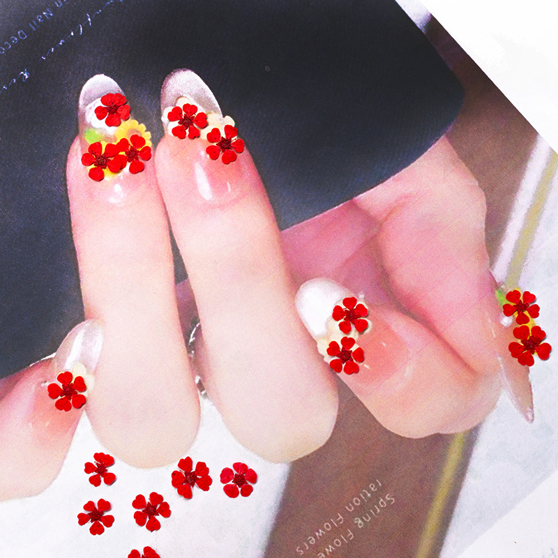 96Pcs Mini 1.5cm Natural Press - Photography Graduation recension och pris