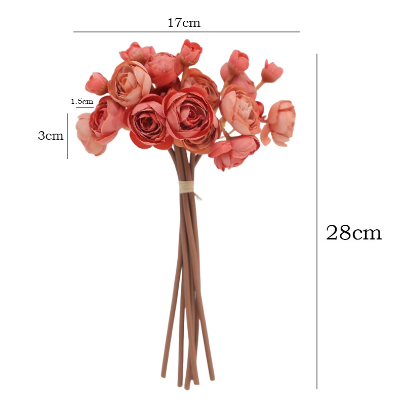 11INCH 6pcs-1set Small Camelli - Photography Graduation recension och pris