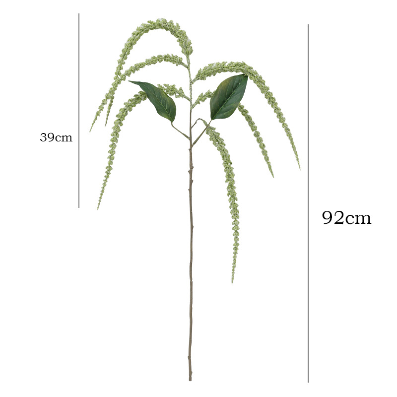 36.2 Inches Artificial Strings - Photography Graduation recension och pris