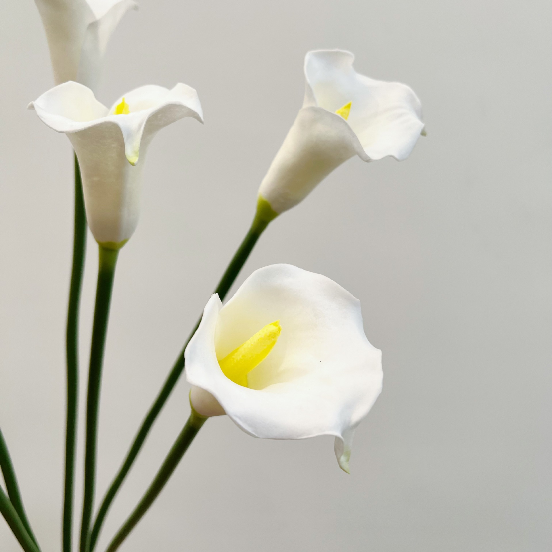 26 Inch Single Stem Crescent C - Photography Graduation recension och pris