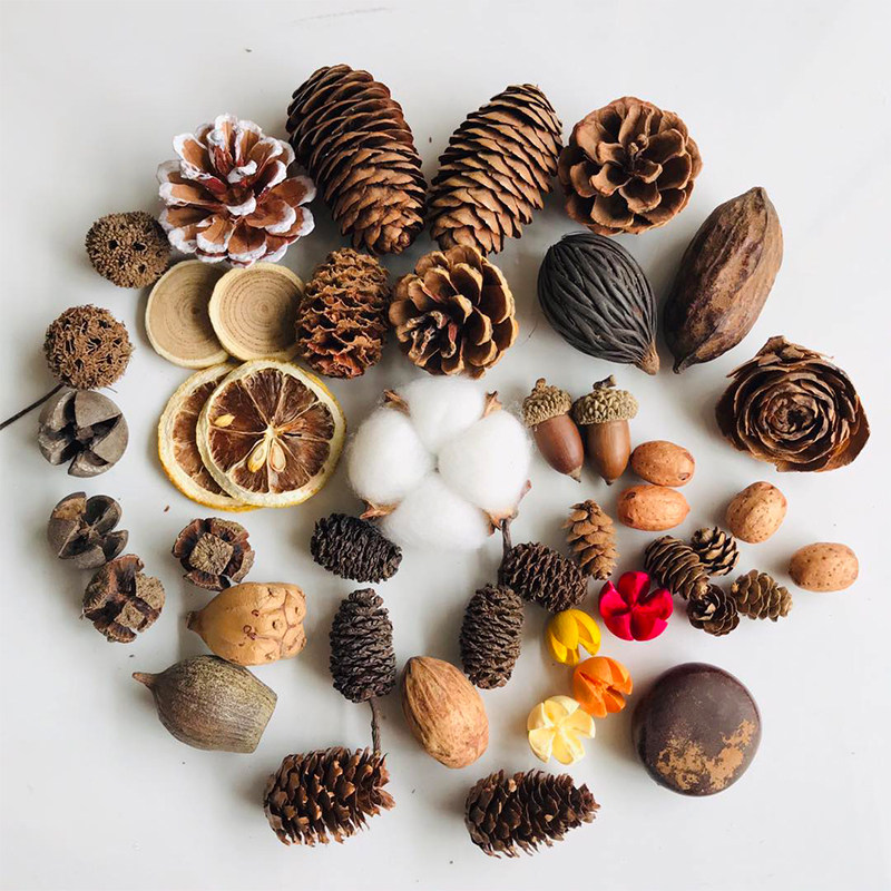 Natural Dried Pinecones Leaves - Photography Graduation recension och pris