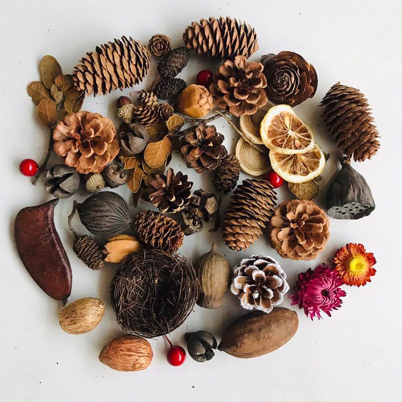 Natural Dried Pinecones Leaves - Photography Graduation recension och pris