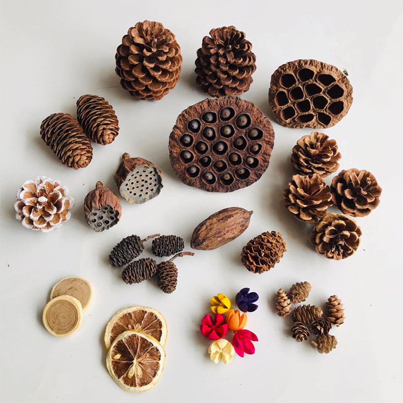 Natural Dried Pinecones Leaves - Photography Graduation recension och pris