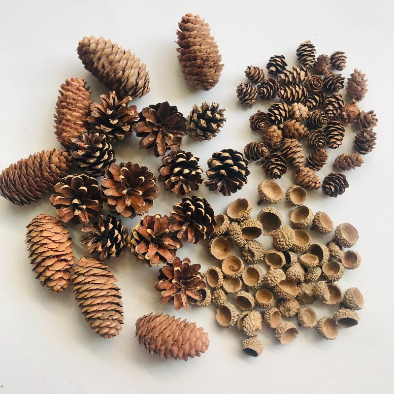 Natural Dried Pinecones Leaves - Photography Graduation recension och pris