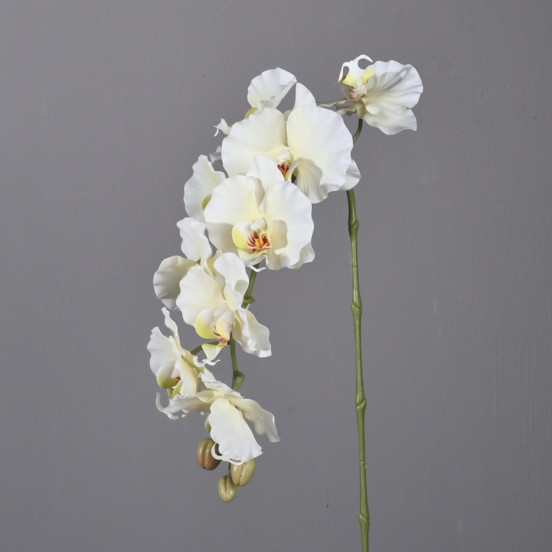 38.6 Inch 9 Heads Korean Style - Photography Graduation recension och pris