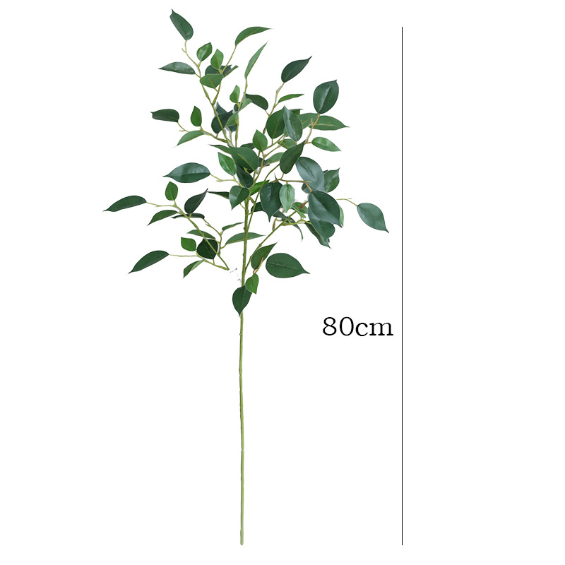 31.5 Inches Artificial Ficus B - Photography Graduation recension och pris