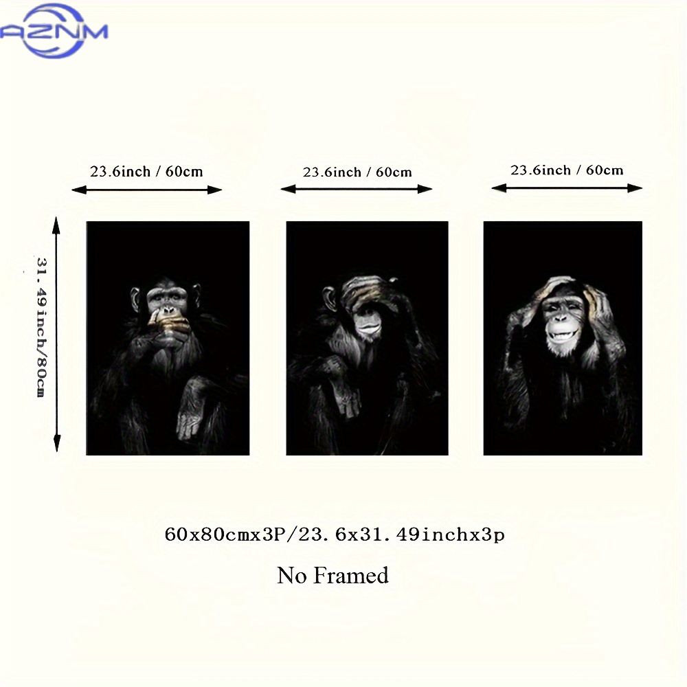 3pcs/set Big Size Unframed Ret - Photography Kit recension och pris